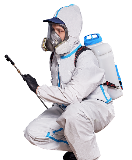 Комплекс мероприятий по санитарной обработке