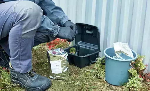 Откуда появилась крыса?