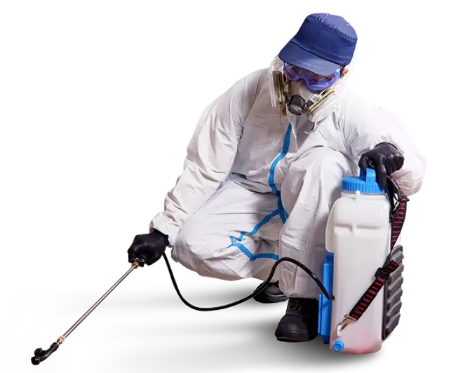 Изображение справа